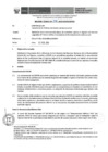 Vista preliminar de documento Informe Técnico 248-2019-SERVIR-GPGSC