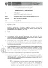 Vista preliminar de documento Informe Técnico 109-2019-SERVIR-GPGSC