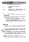 Vista preliminar de documento Informe Técnico 112-2019-SERVIR-GPGSC