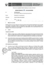 Vista preliminar de documento Informe Técnico 018-2019-SERVIR-GPGSC