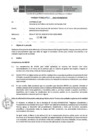 Vista preliminar de documento Informe Técnico 011-2019-SERVIR-GPGSC