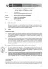Vista preliminar de documento Informe Técnico 009-2019-SERVIR-GPGSC