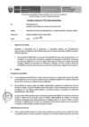 Vista preliminar de documento Informe Técnico 1595-2018-SERVIR-GPGSC