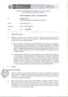 Vista preliminar de documento Informe Técnico 1307-2018-SERVIR-GPGSC