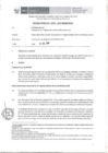 Vista preliminar de documento Informe Técnico 1074-2018-SERVIR-GPGSC