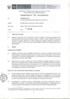 Vista preliminar de documento Informe Técnico 966-2018-SERVIR-GPGSC