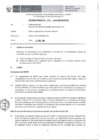 Vista preliminar de documento Informe Técnico 316-2018-SERVIR-GPGSC