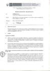 Vista preliminar de documento Informe Técnico 130-2018-SERVIR-GPGSC