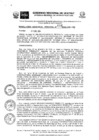 Vista preliminar de documento RGR0004-2024-GRI
