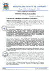 Vista preliminar de documento RIC