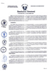 Vista preliminar de documento RES-DIR-24-19