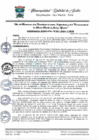 Vista preliminar de documento ordenanza 1