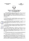 Vista preliminar de documento Resolucion Subgerencial N°202-2023