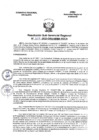 Vista preliminar de documento Resolucion Subgerencial N°207-2023