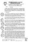 Vista preliminar de documento RER004-2024