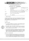 Vista preliminar de documento Informe Técnico 875-2016-SERVIR-GPGSC