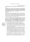 Vista preliminar de documento RD 596-2023