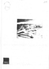 Vista preliminar de documento Rof_1