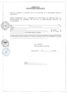 Vista preliminar de documento Anexos CAS-001-2024