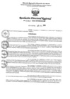 Vista preliminar de documento RDR Nº 4343-2023-GRSM-DRE