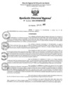 Vista preliminar de documento RDR Nº 4350-2023-GRSM-DRE