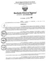 Vista preliminar de documento RDR Nº 4353-2023-GRSM-DRE