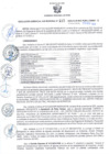 Vista preliminar de documento RESOLUCION GERENCIAL SUB REGIONAL N°485-2023