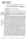 Vista preliminar de documento ACM24N004