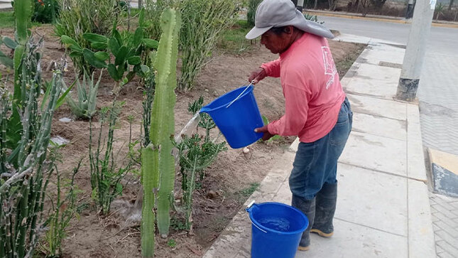 Personal de OMAPED transforma el vivero de la casa de la juventud