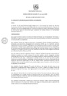 Vista preliminar de documento Directiva N1-2020