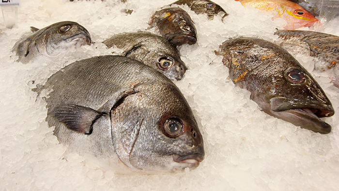pescado