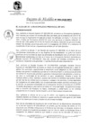 Vista preliminar de documento DA_006-2020-MPV