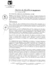 Vista preliminar de documento DA_008-2020-MPV