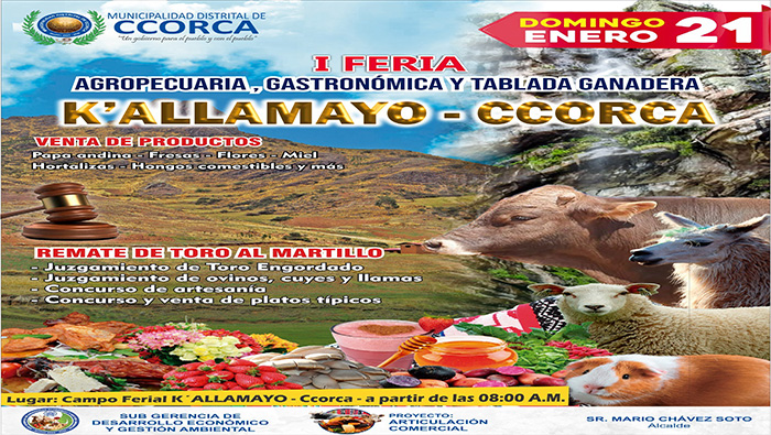 Publicar