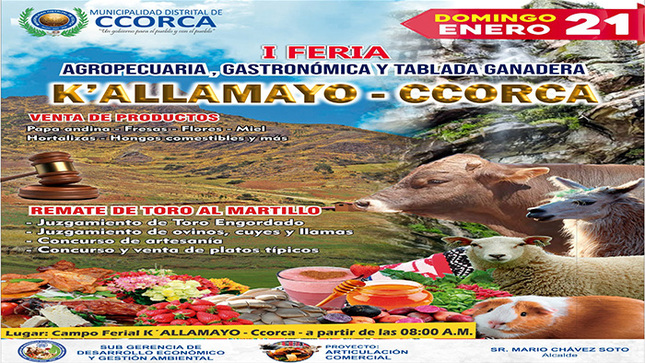Publicar