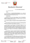 Vista preliminar de documento RD 333-2023