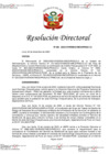 Vista preliminar de documento RD 336-2023