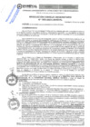 Vista preliminar de documento DIRECTIVA PARA GRUPOS DE INVESTIGACIÓN DE LA UNIVERSIDAD NACIONAL HERMILIO VALDIZÁN