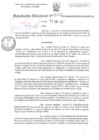Vista preliminar de documento RD N°0002