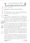 Vista preliminar de documento RG006-2024