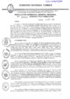 Vista preliminar de documento R.G.G.R. N013-2024GRT-GGR_16Ene2024
