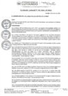 Vista preliminar de documento Resolucion Gerencial 001