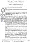Vista preliminar de documento Resolucion Gerencial 002