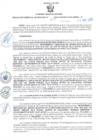 Vista preliminar de documento RESOLUCION GERENCIAL SUB REGIONAL N°503-2023