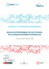 Vista preliminar de documento Anexos  a las Bases integradas Becas en Programas de Doctorado en Alianzas Interinstitucionales