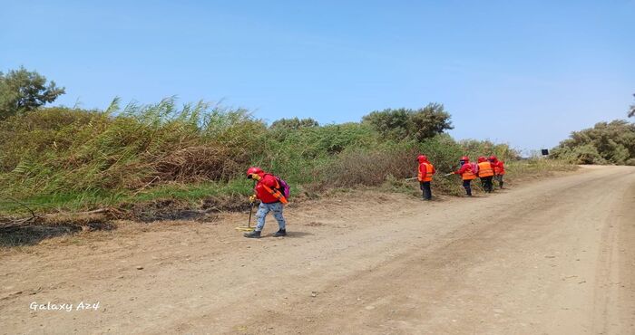 "Desarrollo en Acción: Vichayal Avanza con el Programa Llamkasun Perú"