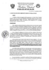Vista preliminar de documento Resolucion Directoral N°095-2023