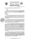 Vista preliminar de documento Resolucion Directoral N°099-2023