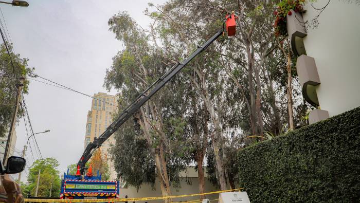 Mantenimiento de áreas verdes: Poda en calle Boulevard Roosevelt