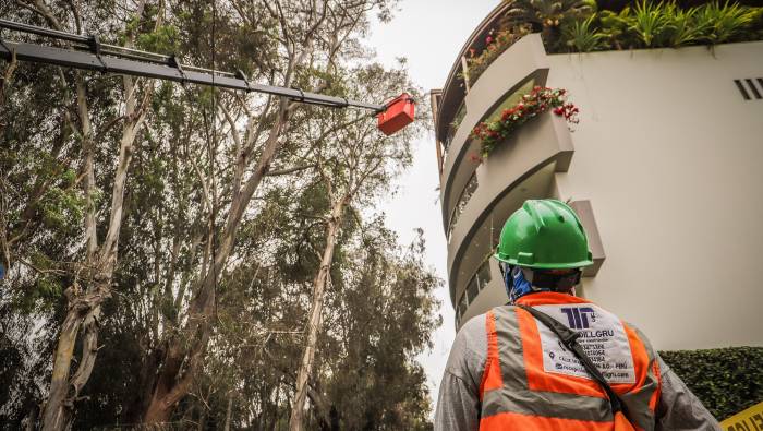 Mantenimiento de áreas verdes: Poda en calle Boulevard Roosevelt